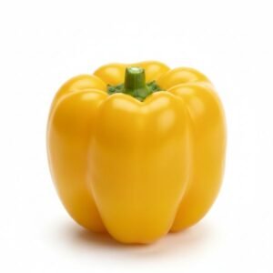 capsicum yellow