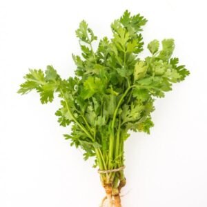 corriander leaves (100g)