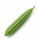 ridge gourd